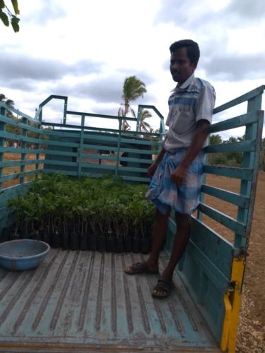 IMG-20190721-WA0021